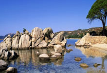 九游电竞-关于勒沃库森重整旗鼓，力争复苏排名的信息